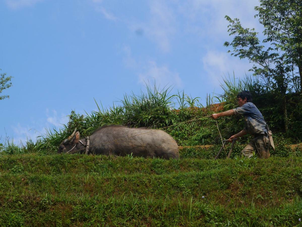 Hmong Sister House And Trekking Lejlighed Sapa Eksteriør billede